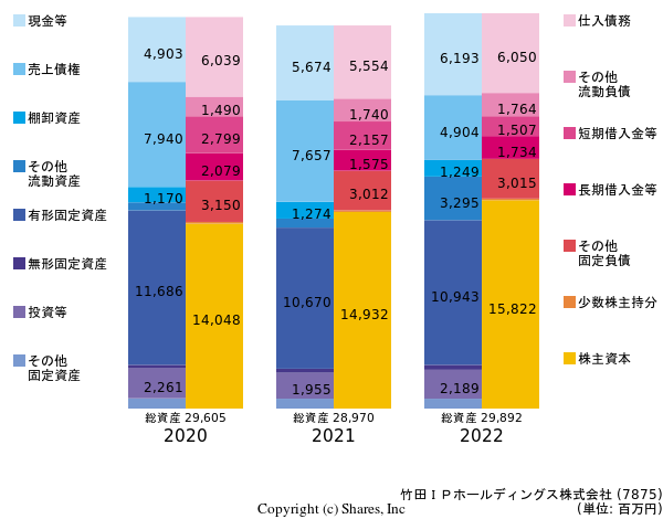 竹田ＩＰホールディングス株式会社の貸借対照表